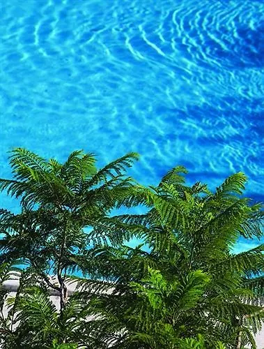 Zeus Hotel Icmeler Turkey